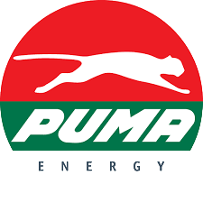 Logo Puma - coaching para estaciones Puma